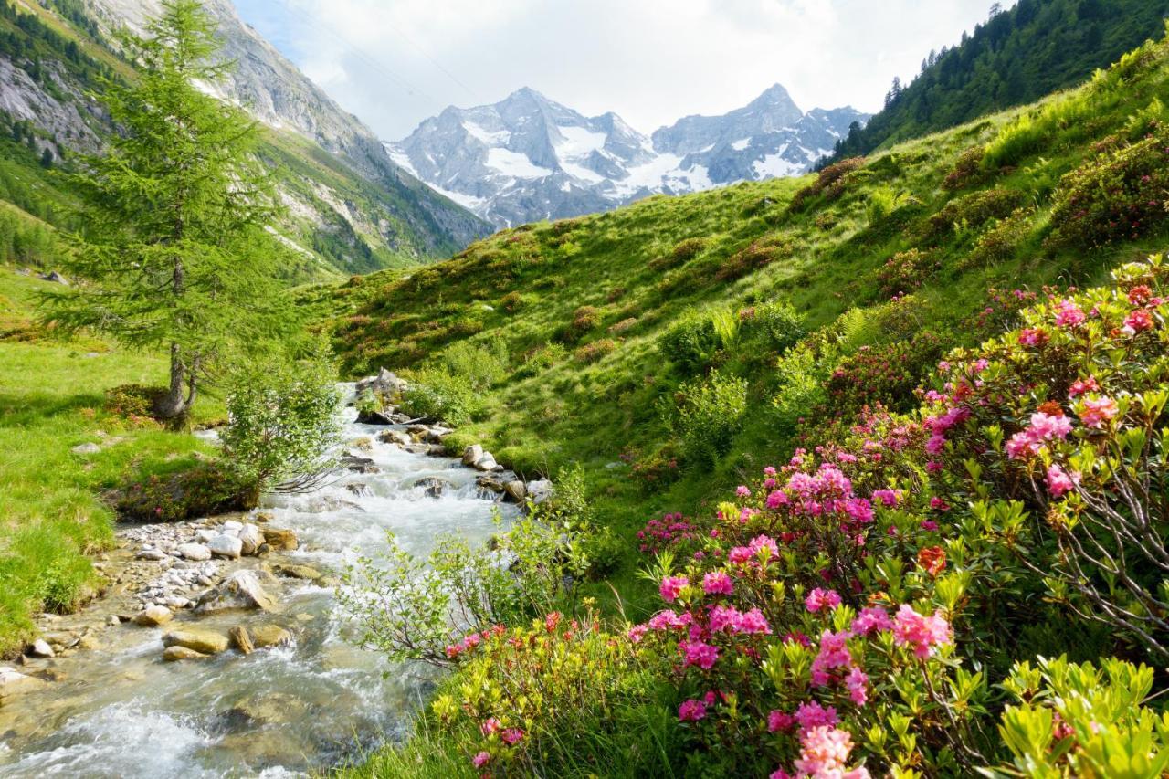 Manni Home Mayrhofen Esterno foto